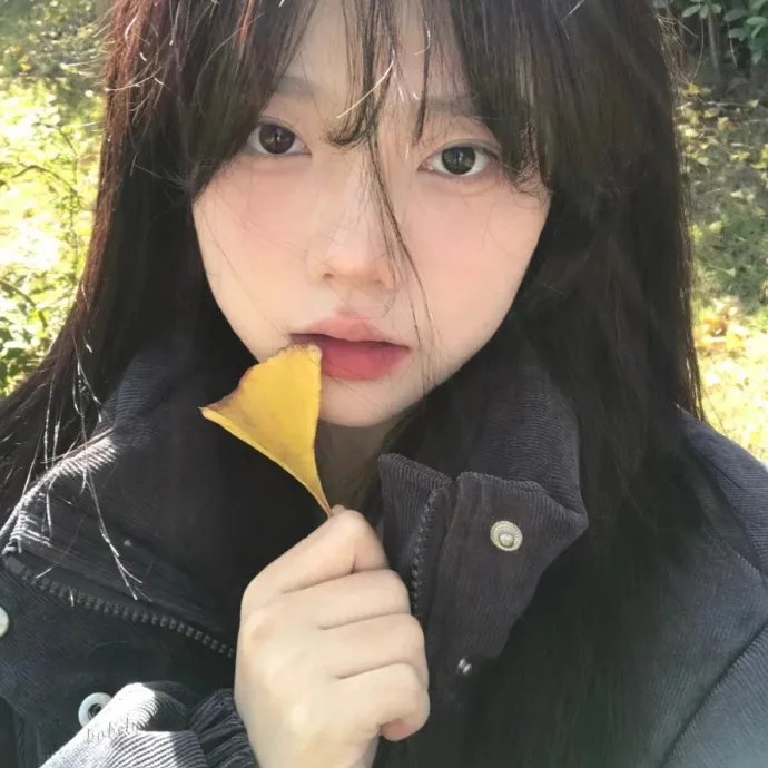 白痴之日